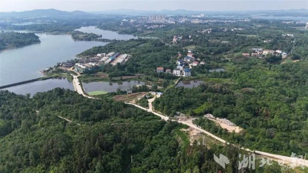 股票配资的公司官网 北大校友乡村振兴实践基地在黄陂挂牌