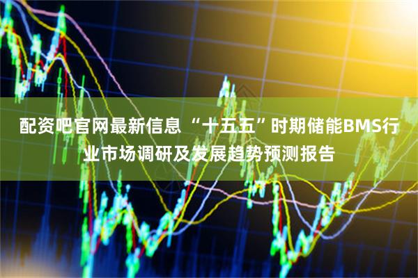 配资吧官网最新信息 “十五五”时期储能BMS行业市场调研及发展趋势预测报告