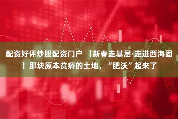 配资好评炒股配资门户 【新春走基层·走进西海固】那块原本贫瘠的土地，“肥沃”起来了